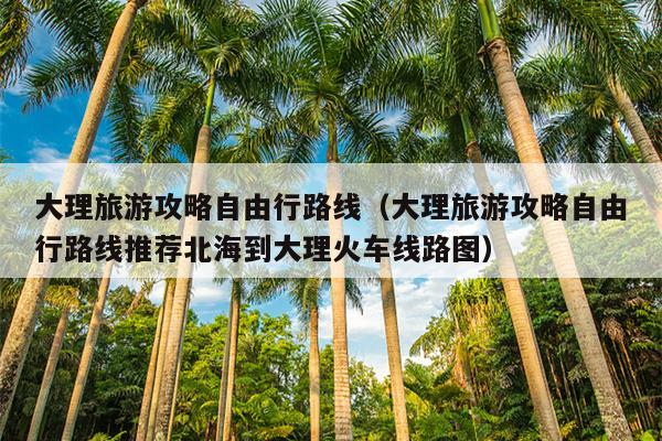 大理旅游攻略自由行路线（大理旅游攻略自由行路线推荐北海到大理火车线路图）