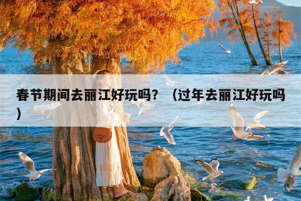 春节期间去丽江好玩吗？（过年去丽江好玩吗）