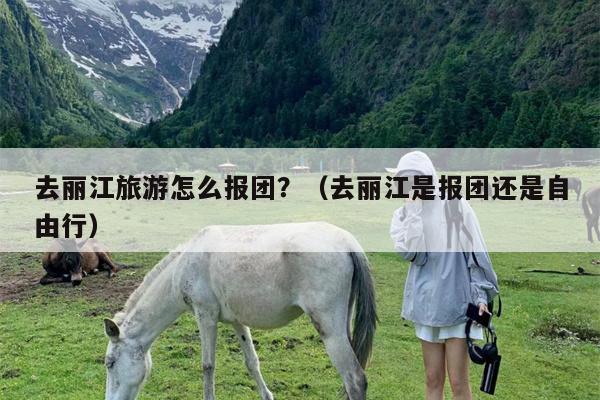 去丽江旅游怎么报团？（去丽江是报团还是自由行）