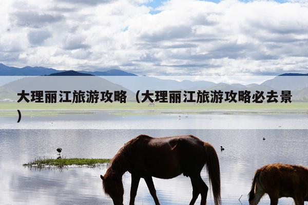 大理丽江旅游攻略（大理丽江旅游攻略必去景）