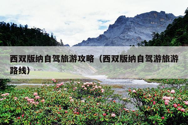 西双版纳自驾旅游攻略（西双版纳自驾游旅游路线）